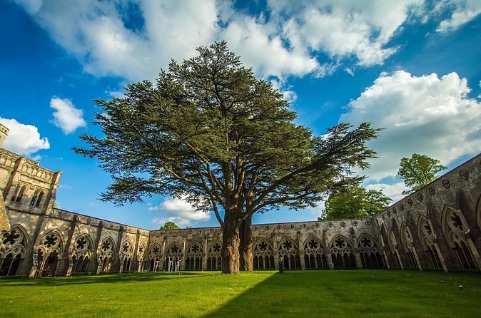 Salisbury Cathedral across the lawn of the close, a single tree in front of it